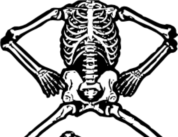 Free On Dumielauxepices Net Black And White - Skeletal System 5th Grade (640x480), Png Download