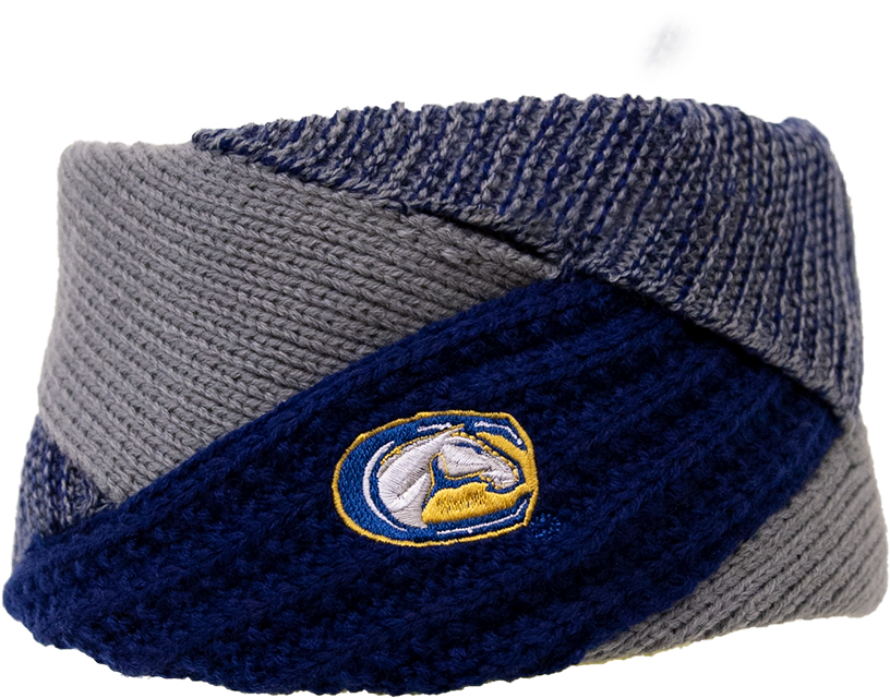 Image For Zoozatz Uc Davis Mascot Crisscross Headband - Beanie (1000x1000), Png Download