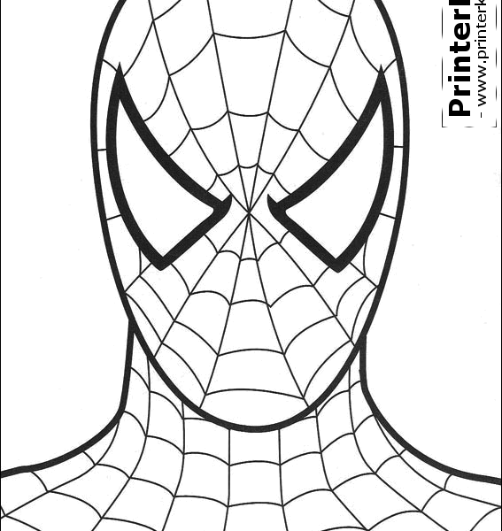 9500 Collections Spiderman Coloring Page  HD