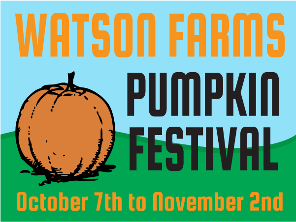 Pumpkin (600x600), Png Download