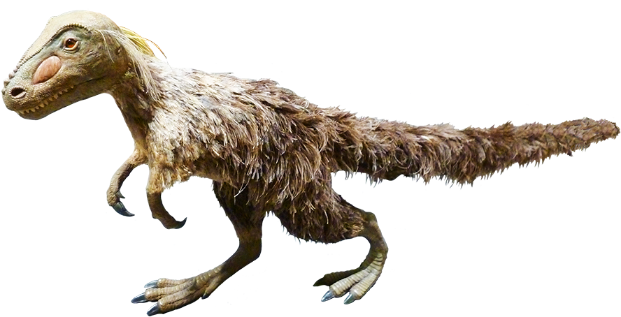 Feathered Dinosaur Clipart - Velociraptor (945x658), Png Download