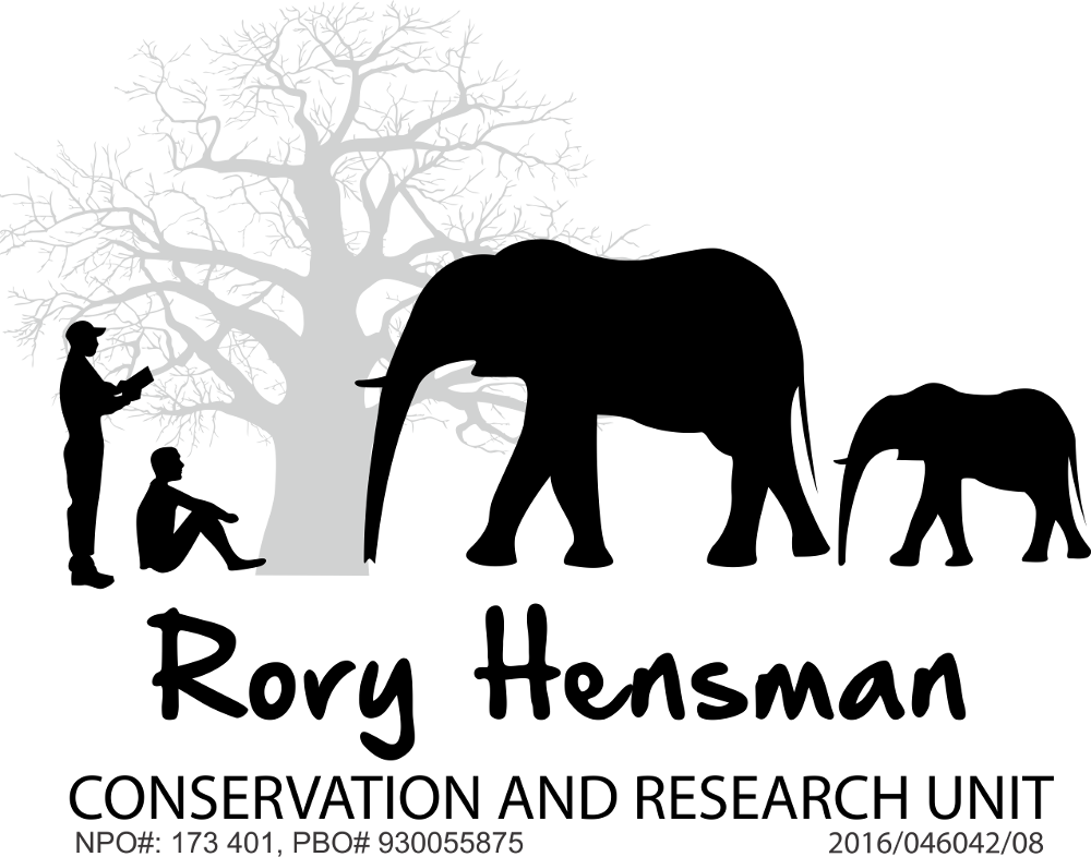 1000 X 786 2 - Indian Elephant (1000x786), Png Download