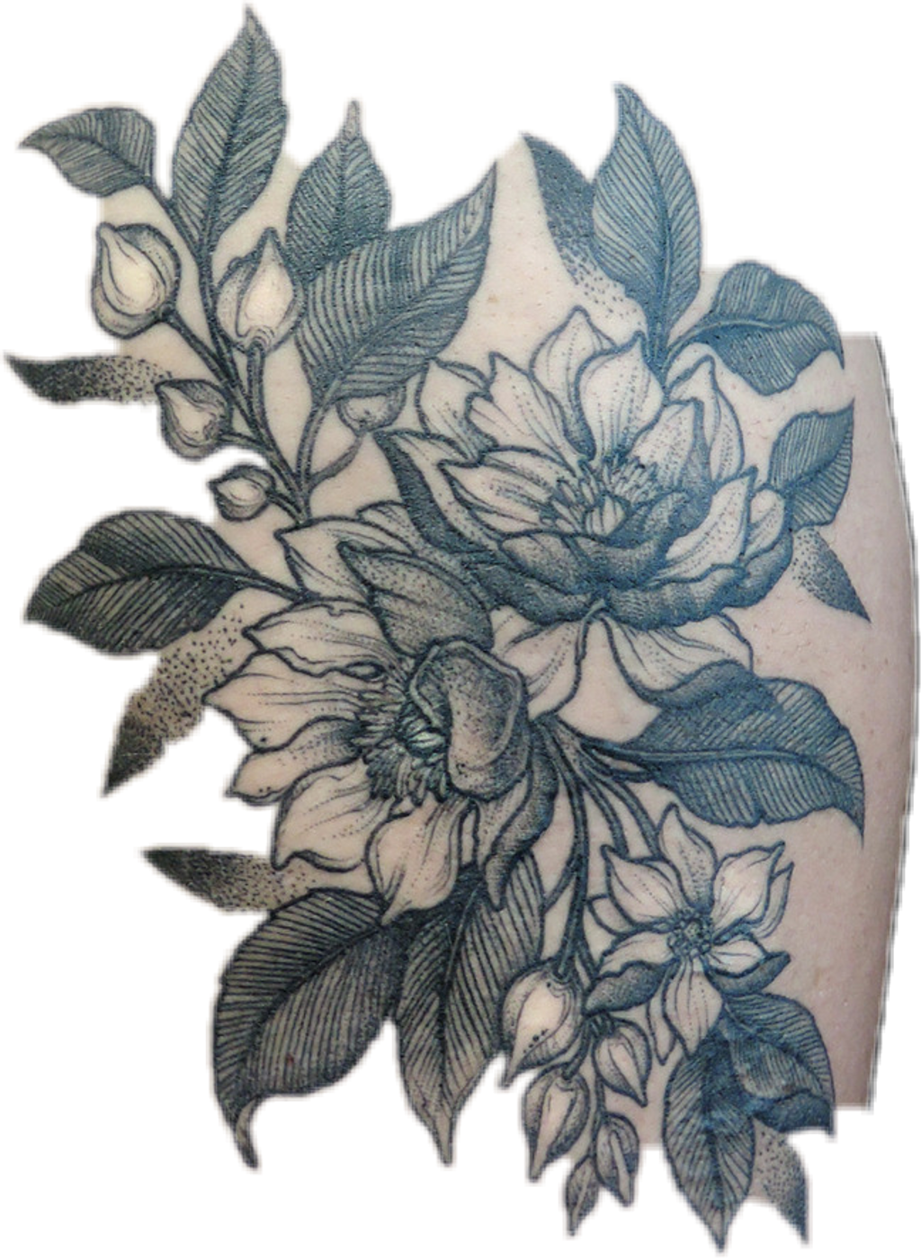 #flowers #tattoo - Common Peony (1024x1399), Png Download