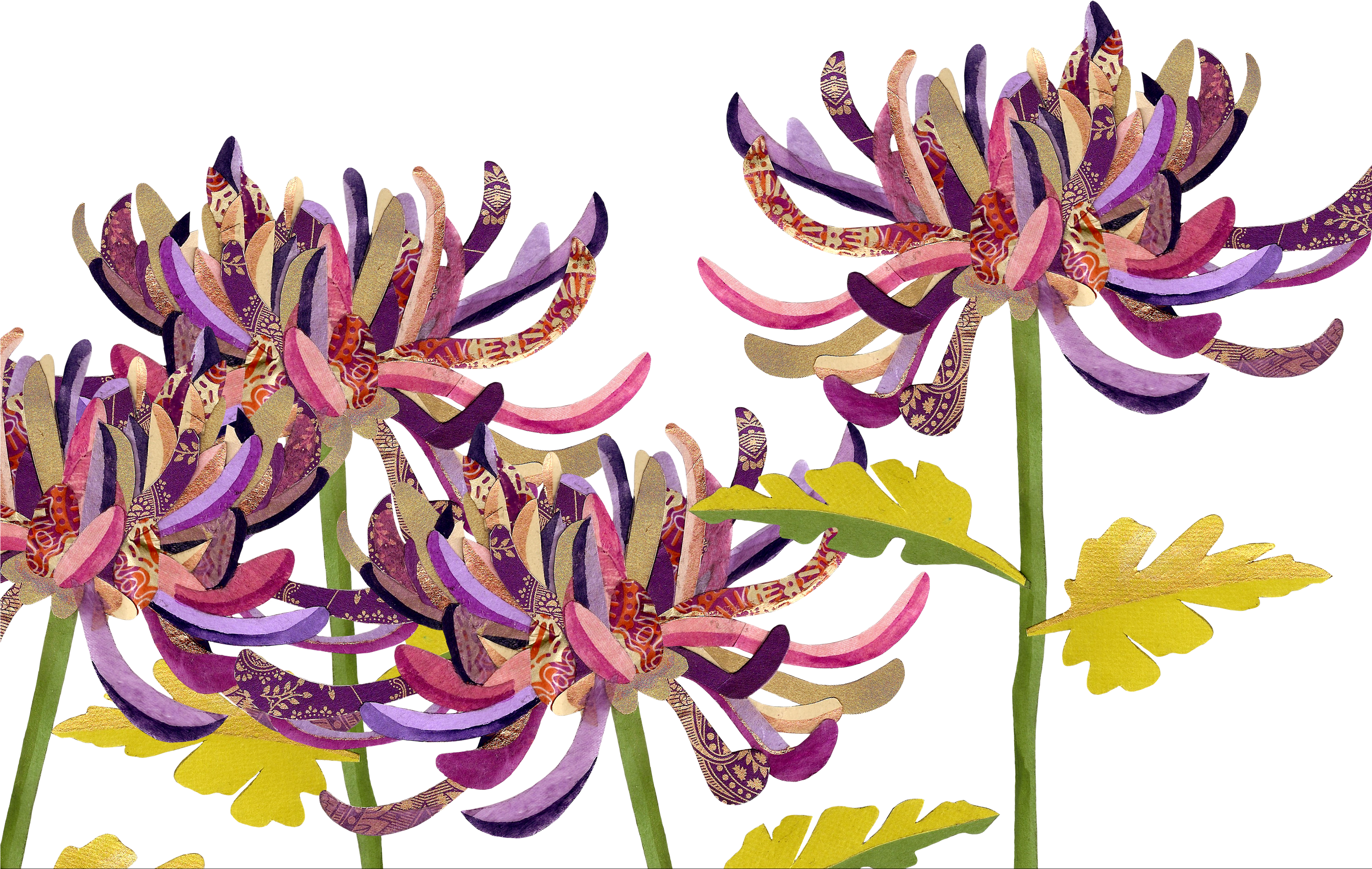 The Language Of Flowers - Chrysanths (3499x2253), Png Download