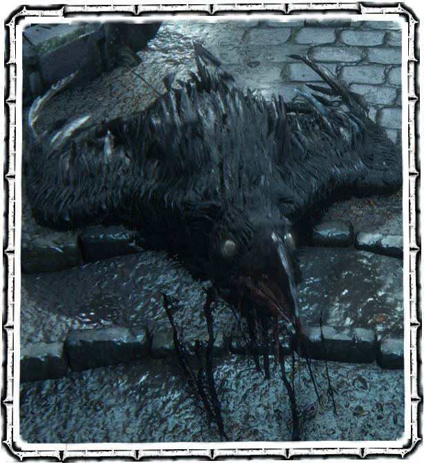 Carrion Crow - Bloodborne Crows (615x671), Png Download