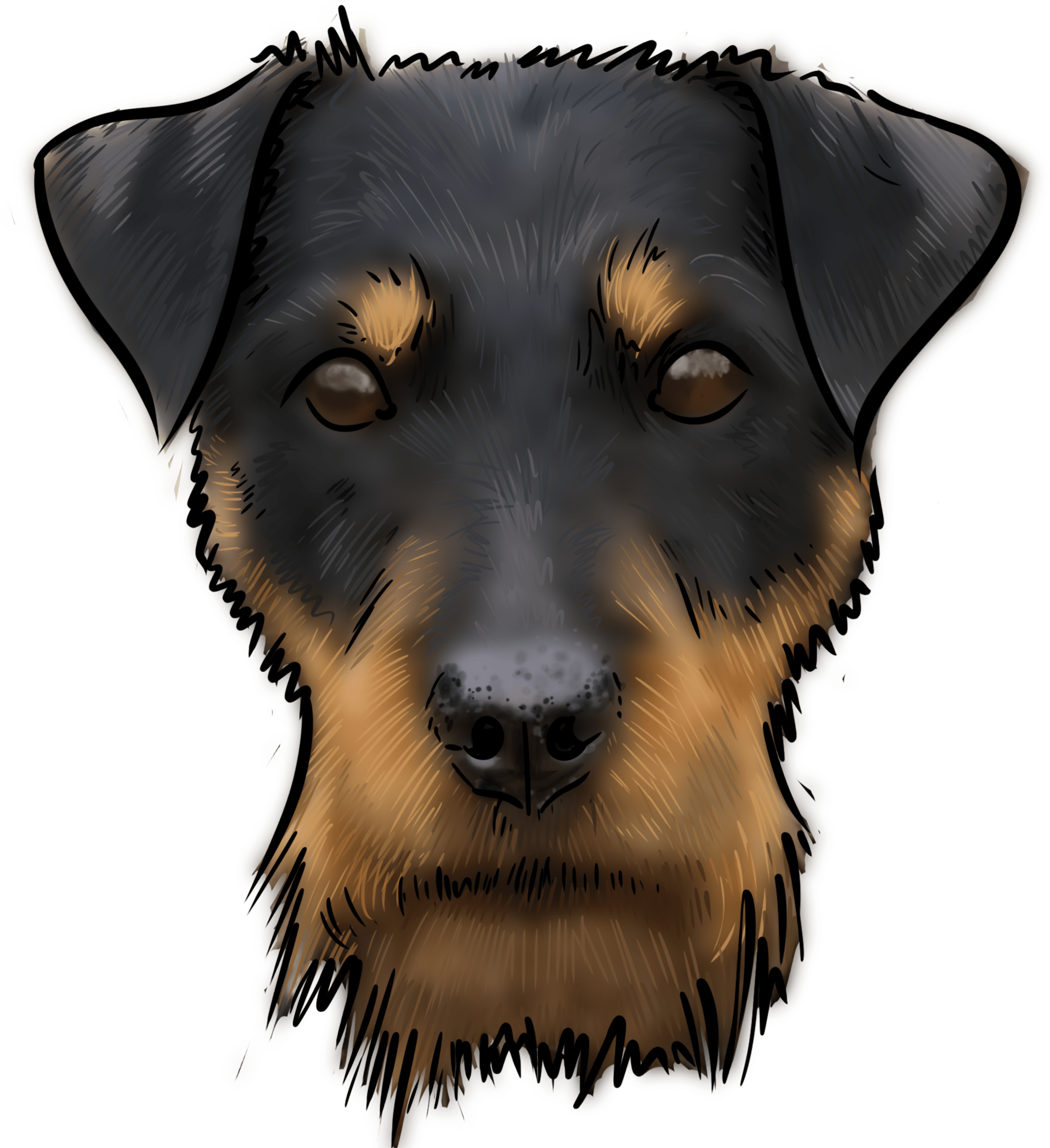 Is A Relatively New Dog In The Dog World - Companion Dog (3000x3000), Png Download