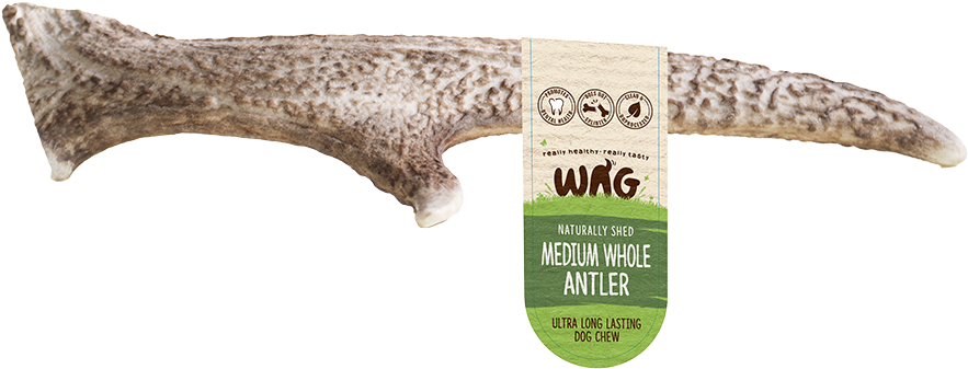 Deer Antler Medium Whole - Wag Deer Antler (900x900), Png Download