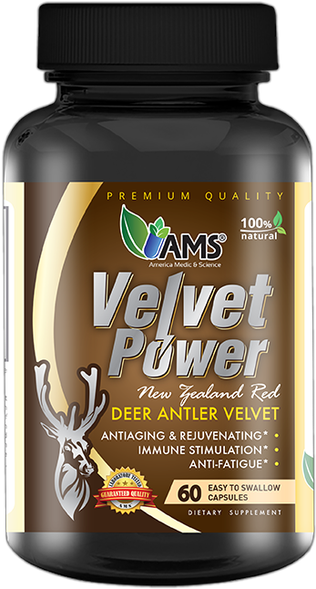 60 Capsules - $54 - - Shiitake (600x943), Png Download