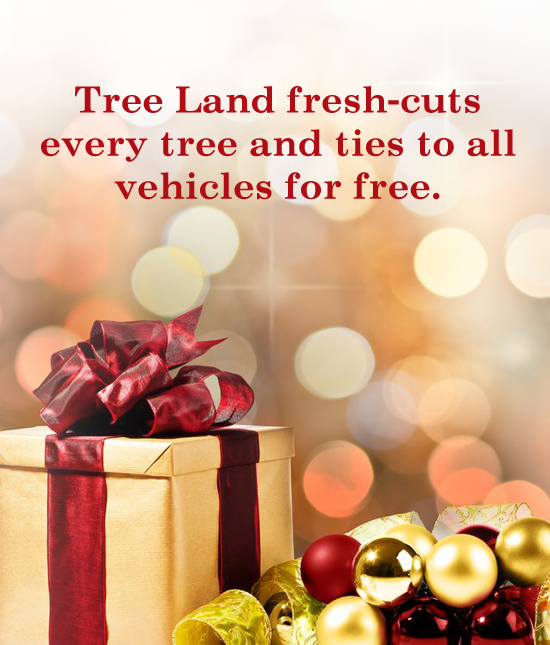 Monday Thru Sunday 9am - Newspaper Article (550x645), Png Download