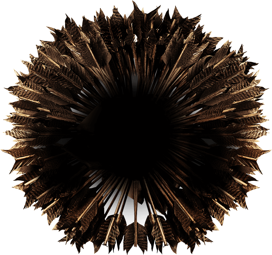 Sea Urchin (1100x1077), Png Download