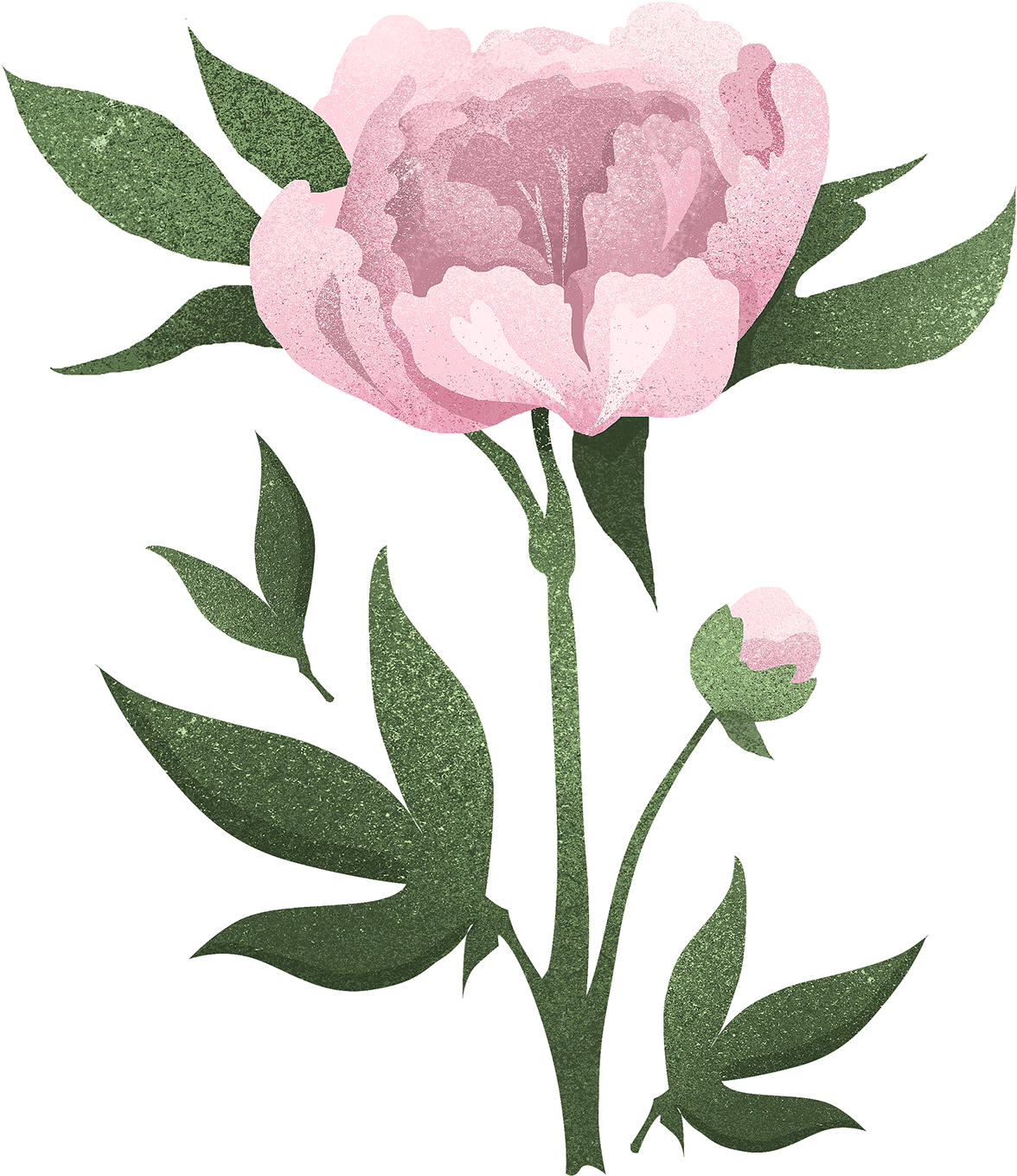 Save To Collection - Floribunda (1400x1525), Png Download
