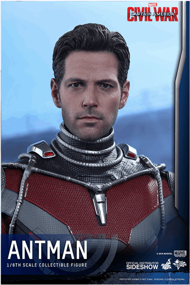 1 Of - Hot Toys Ant Man Civil Wars Head Sculpt (600x600), Png Download
