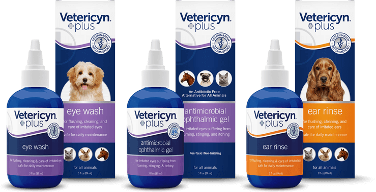 Eye & Ear Care - Companion Dog (833x613), Png Download