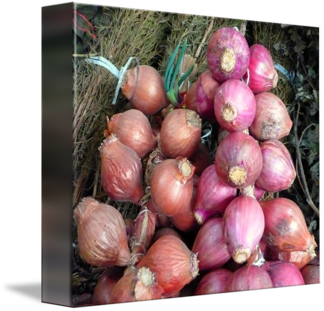 Svg Cebollas Onions By Marcos Granda - Red Onion (650x624), Png Download