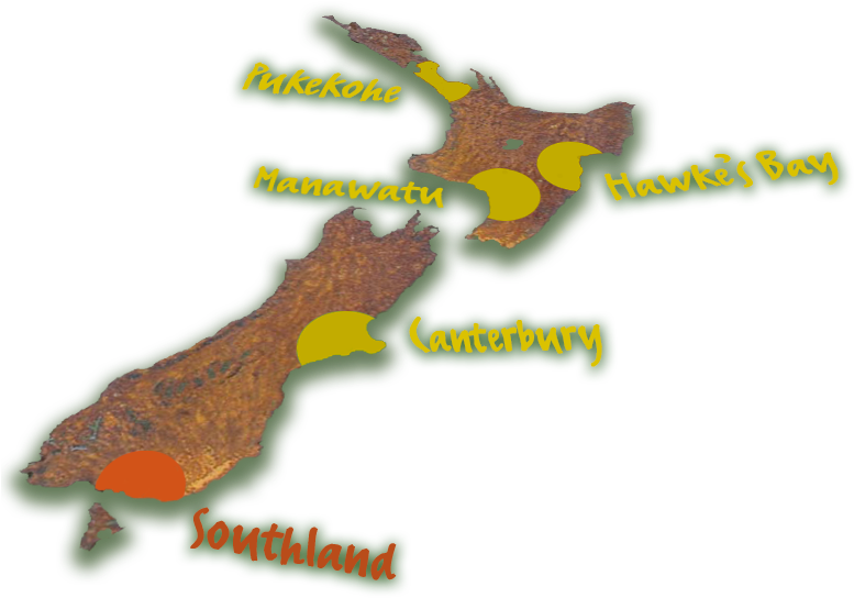 Harvest Fresh Growing Onions And Carrot Regions Of - Harvest In New Zealand (807x584), Png Download