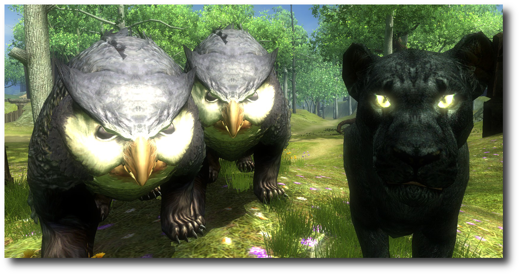 The Gold Seal Gang - Ddo Owlbear (1748x928), Png Download