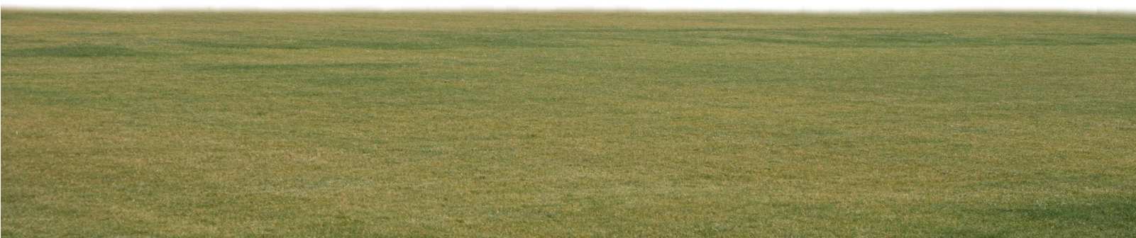 Pasto Y Estadios Png Para Walls - Grass (1600x1066), Png Download