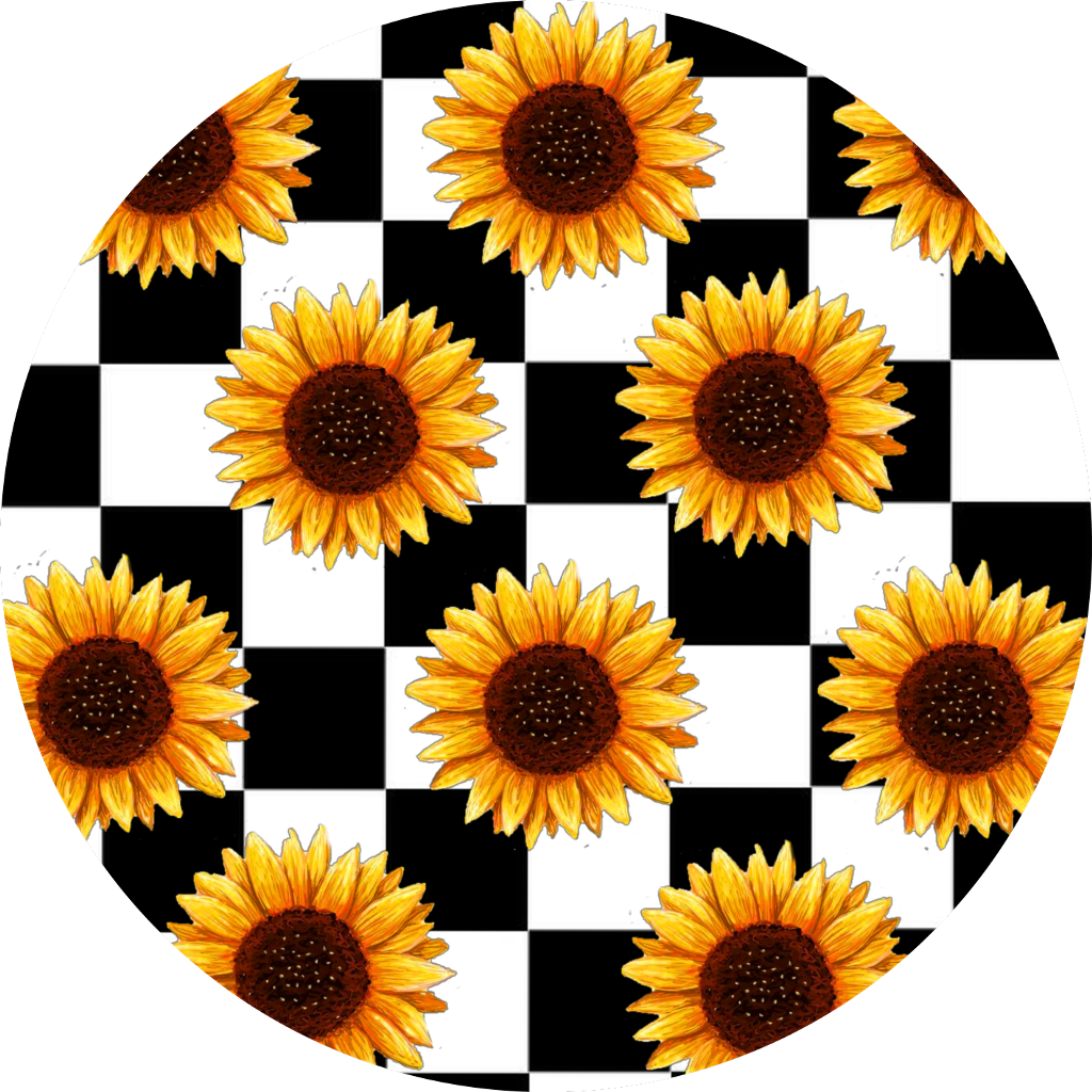 Sunflowers Sticker - Aesthetic Sunflower (1024x1024), Png Download