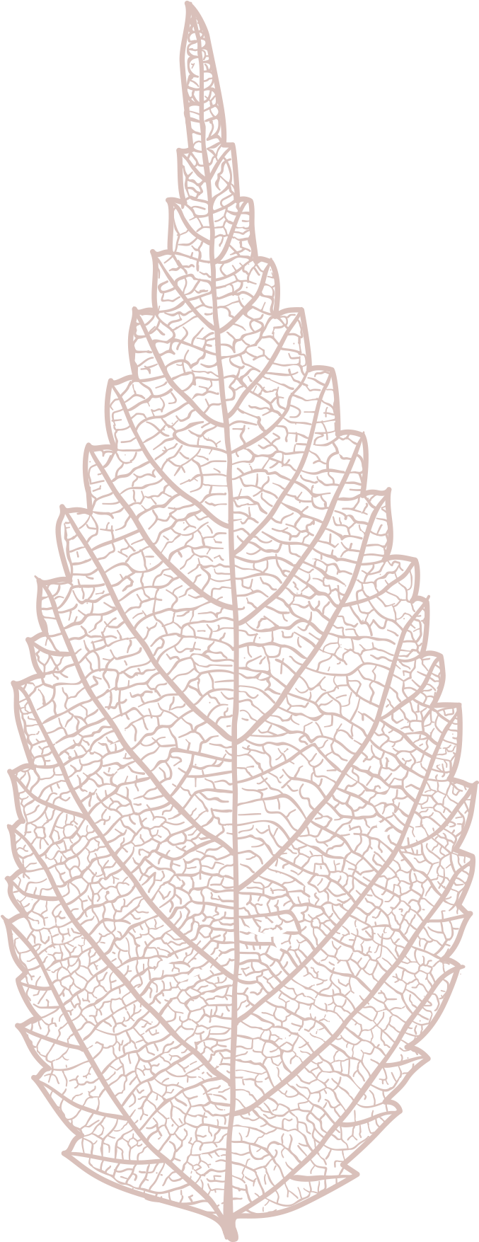 Click For Download Options - Motif (1192x1772), Png Download