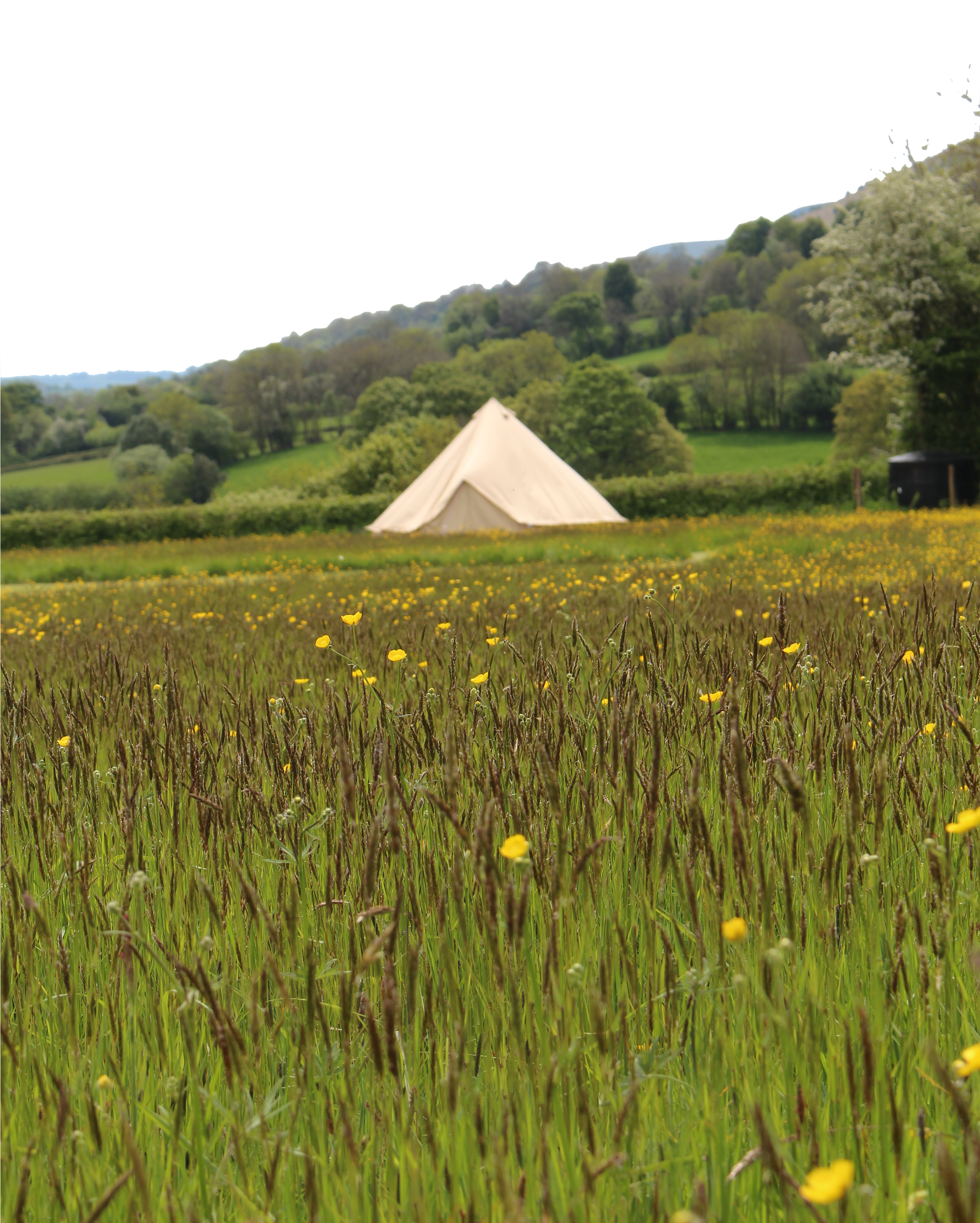 Field (2500x3750), Png Download