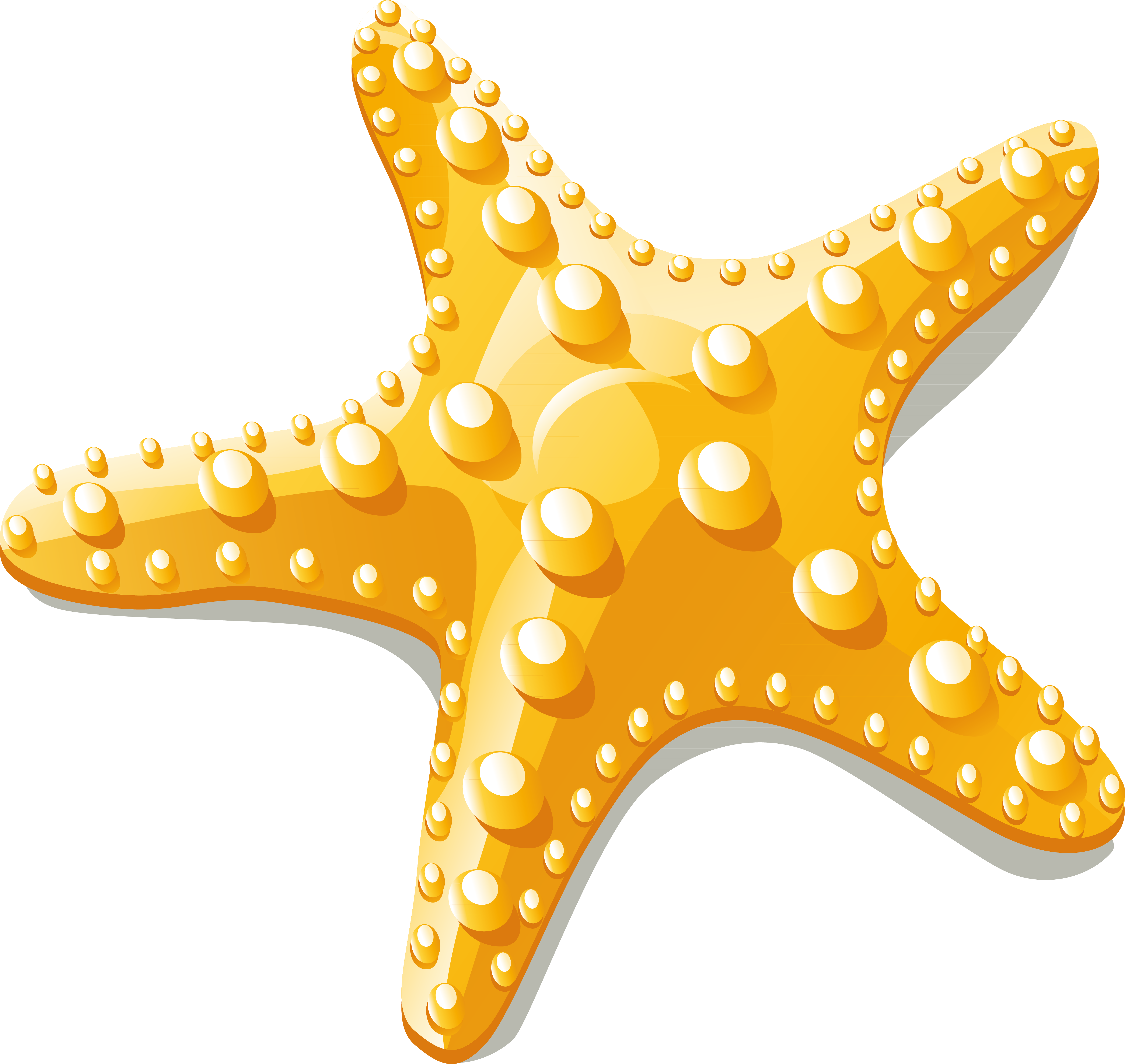 Starfish Euclidean Vector Clip Art - Starfish Vector Png (5303x5015), Png Download