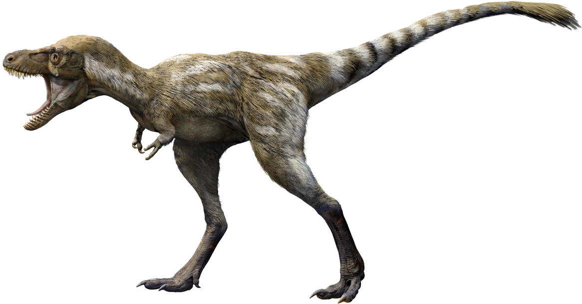 A 4 Year Old T - Velociraptor (1200x672), Png Download