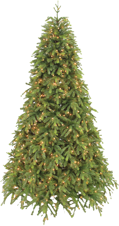 Hand-crafted Christmas Trees - 7ft Slim Christmas Trees (1000x1000), Png Download