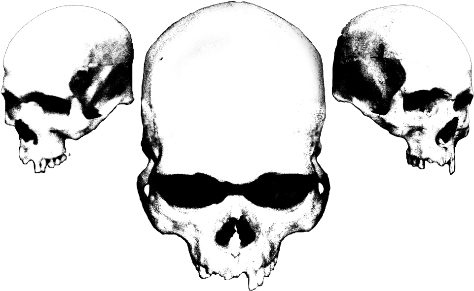 Three Skulls - Brainwashed; Compact Disc; Primary Artist - Brain Trauma (1000x625), Png Download