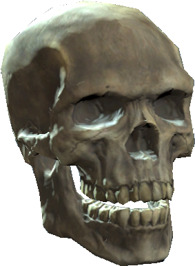 Skull - The Vault (429x442), Png Download