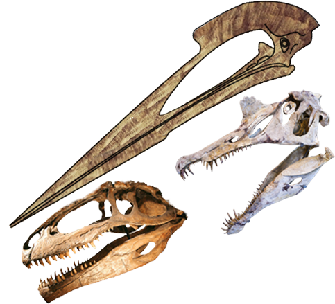 Skulls Length Comparison Of Hatzegopteryx, Spinosaurus - Spinosaurus Skull Size Comparison (483x439), Png Download