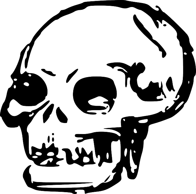 Head, Dead, Skull, Human, Bones, Skulls - Skull Clip Art Png (640x634), Png Download