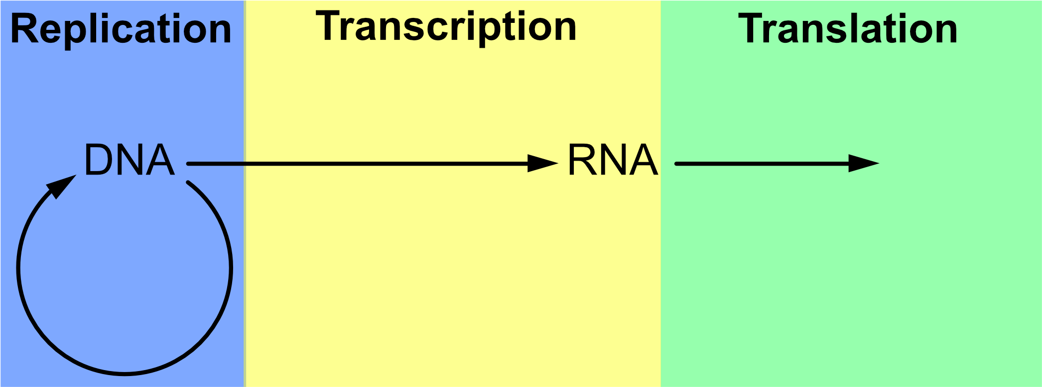 A Rectangle Divided Into Three Horizontal Regions, - Dna (2099x785), Png Download