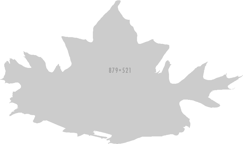 Pile Of Leaves - Leaf (879x521), Png Download