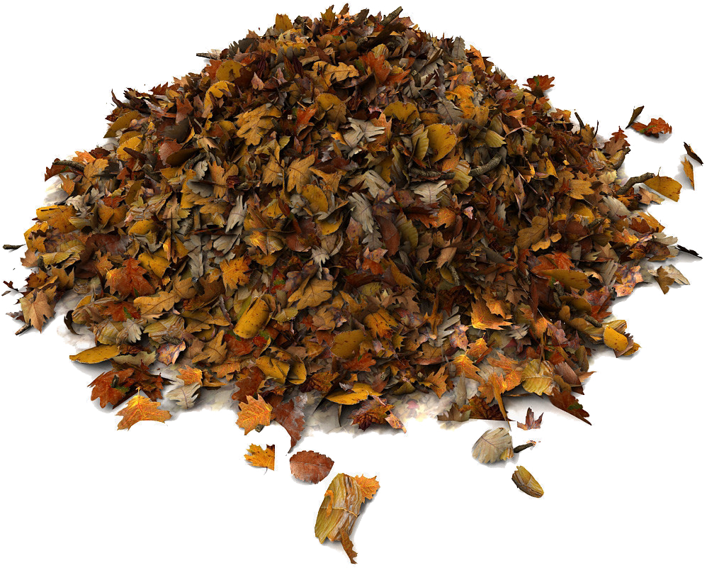 Rummage Sale Pile Of Leaves Png - Dried Leaves 3d Model (1024x1024), Png Download