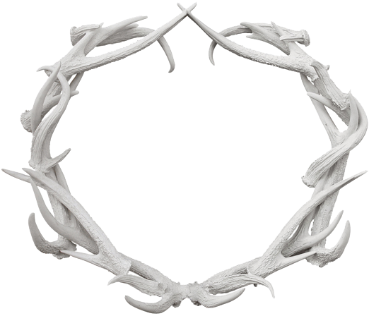 Antler Wreath Png (560x463), Png Download