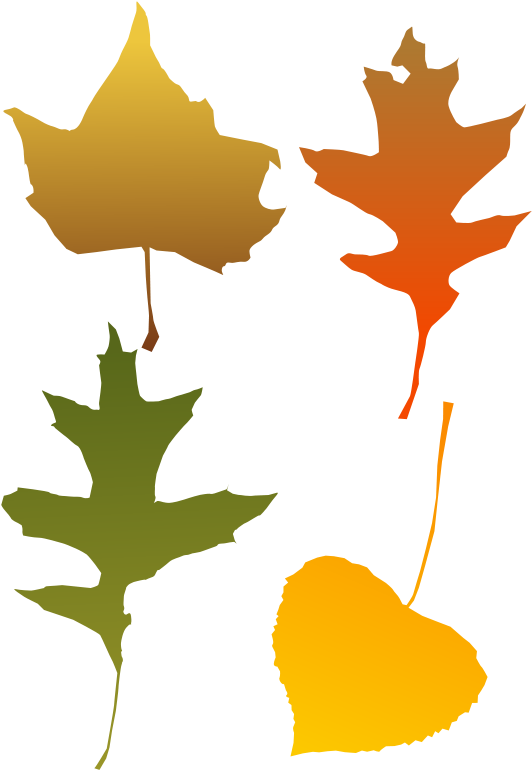 Autumn Leaves - Autumn Leaf Clip Art (566x800), Png Download