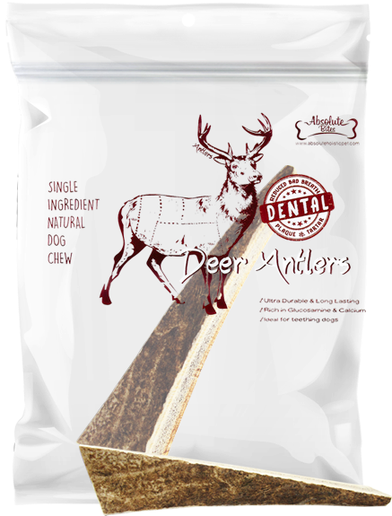 Antler (482x652), Png Download