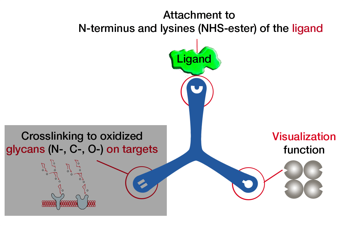 Diagram (1421x885), Png Download