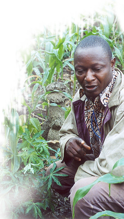 African Agribusiness And Trade Conference - Trade (396x700), Png Download