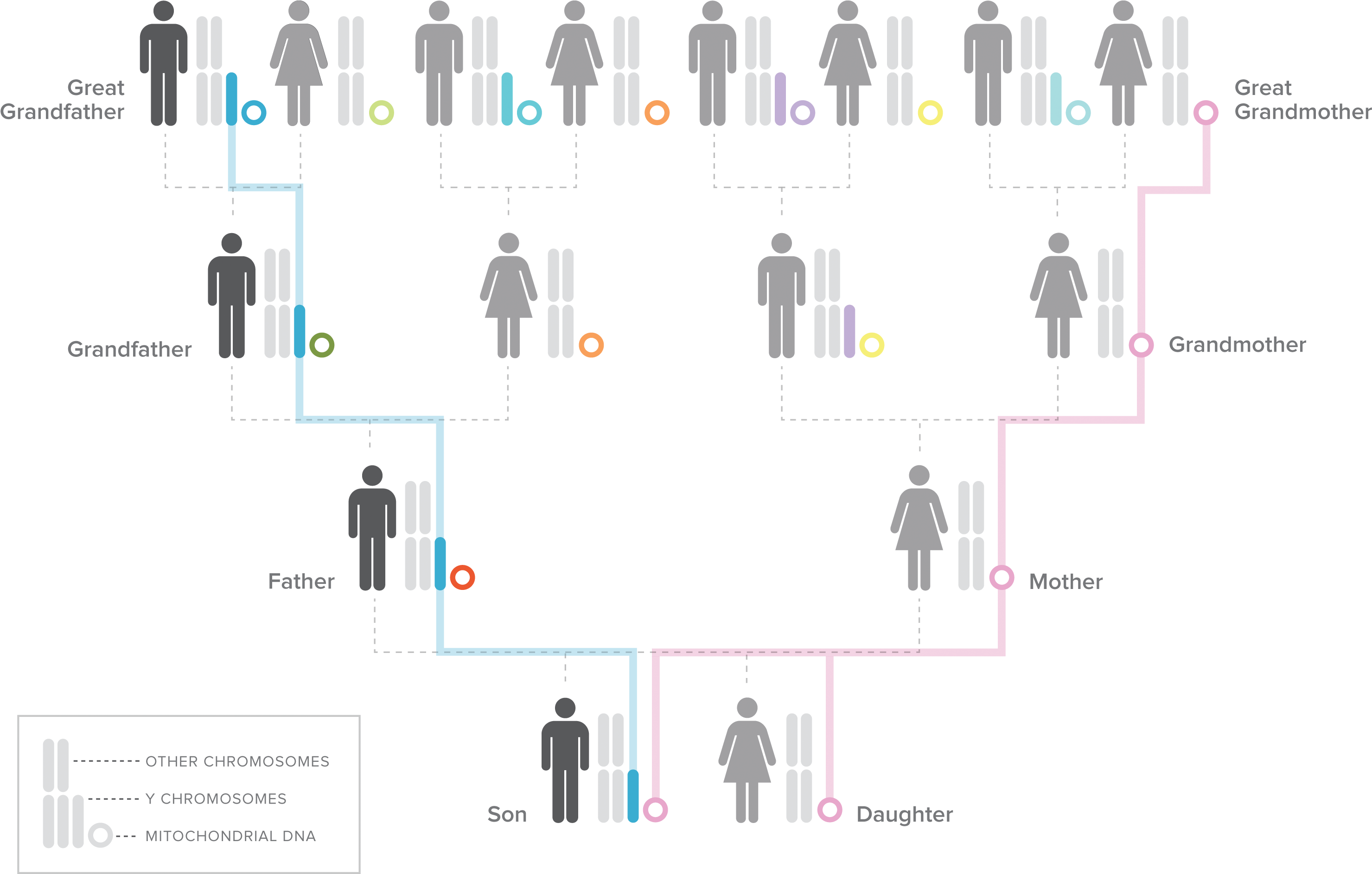 V Y Illustration New - Works Well With Others: An Outsider's Guide And Other (3027x1885), Png Download