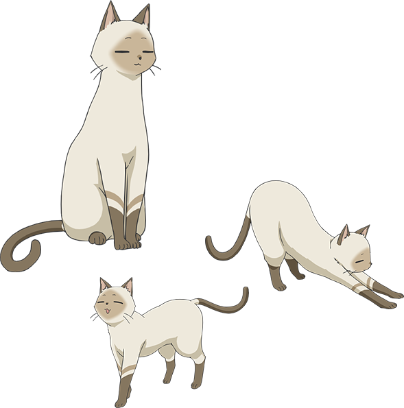 Kenny Body - Flying Witch Anime Cat (589x595), Png Download