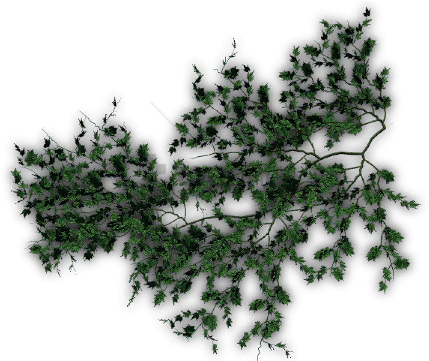 372k Creepers F - Creepers Top View Png (640x480), Png Download