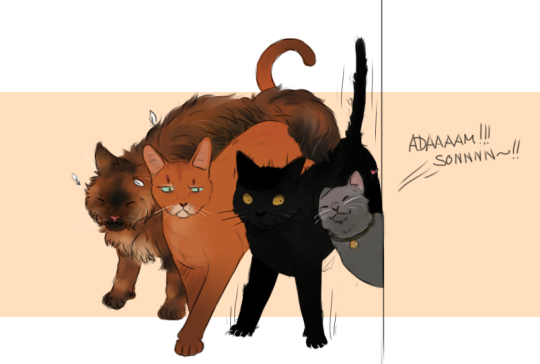 Furridah Malik , Likes To Play With Birds, Climbs Stuff - Black Cat (540x364), Png Download