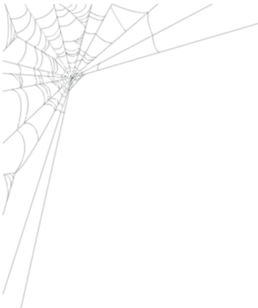 Cob Web Png Png Royalty Free Library - Spider Web (362x433), Png Download