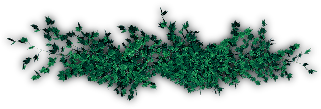 06 Feb 2009 - Vine (640x268), Png Download