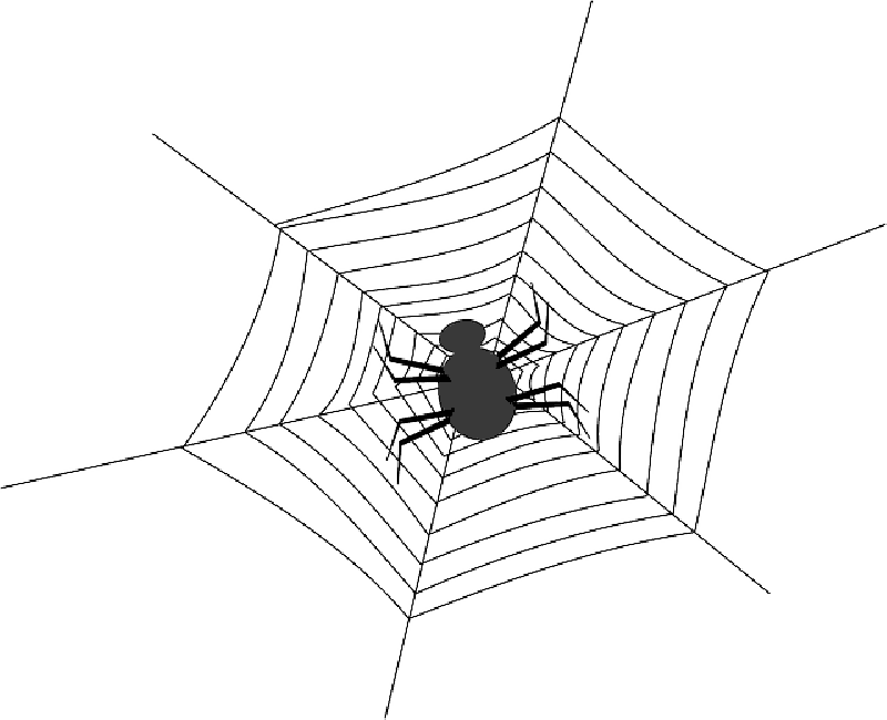 Mb Image/png - Spider Net Clipart Black And White (800x650), Png Download