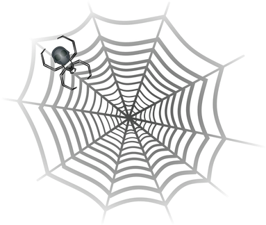 Spider Cobweb Spider Web Spider's Web Web - Telarañas Del Hombre Araña (392x340), Png Download