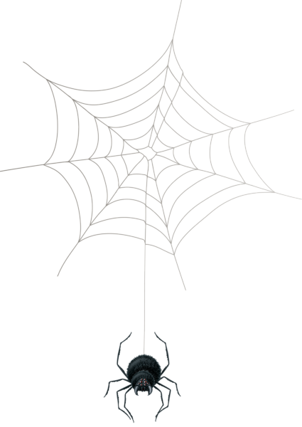 0, - Spider Web (425x600), Png Download