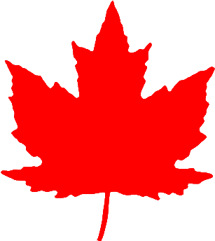 Maple Leaf From Roundel Br Red - Canadian Maple Leaf Png (338x367), Png Download