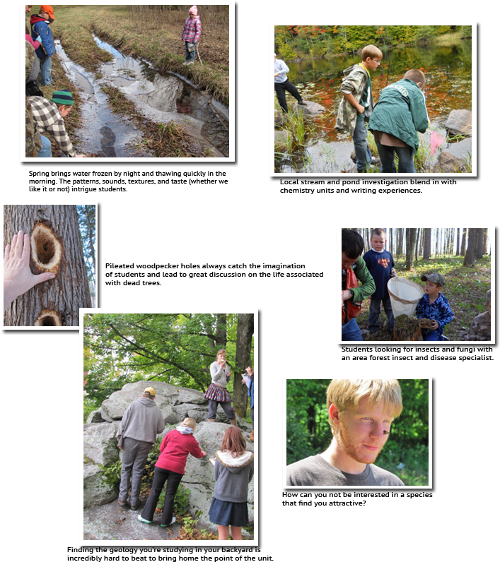 Collage1 - Tree (750x828), Png Download
